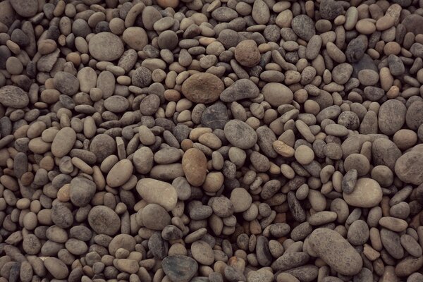 Textfoto von Kieselsteinen am Strand