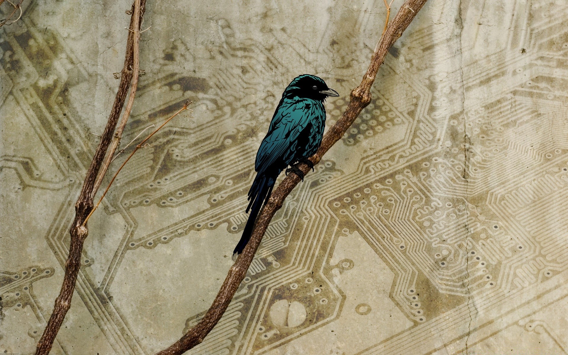 jahrgang vogel natur holz desktop im freien baum ein tierwelt