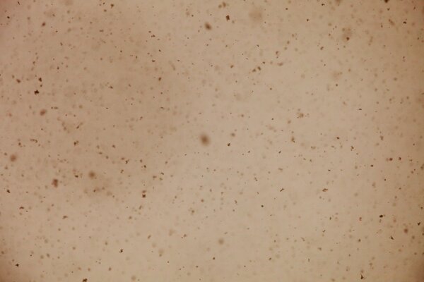 Schwarze Punkte auf beige Hintergrund