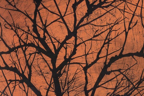 Ein ungewöhnliches Foto eines Baumes bei Sonnenuntergang