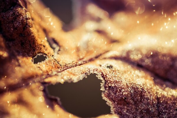 Nahaufnahme von einem Stück Kuchen im Schnitt