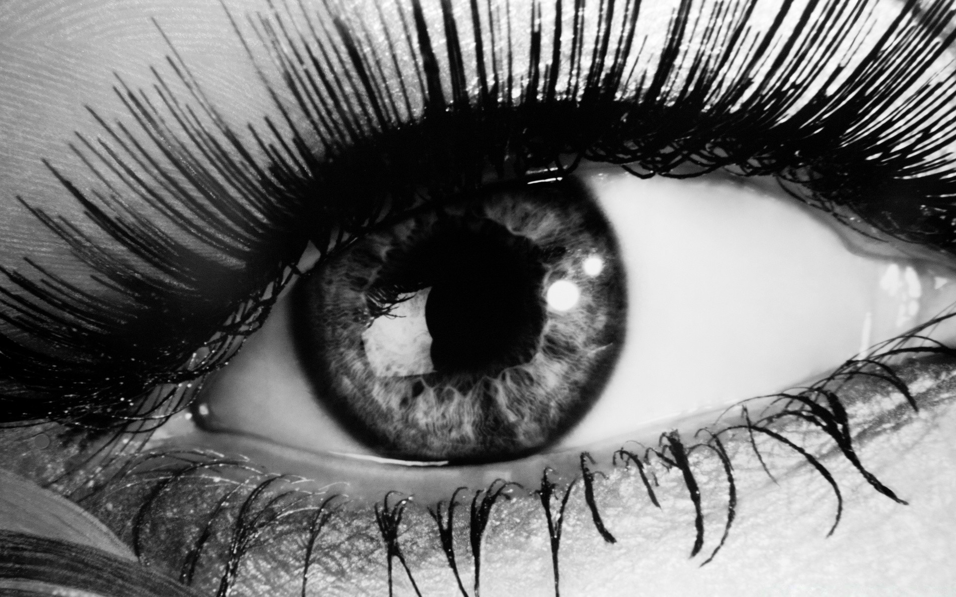 schwarz und weiß frau mode monochrom glamour porträt wimpern mädchen mascara gesicht sexy haut lippen auge haar erwachsener ein kunst modell künstlerisch