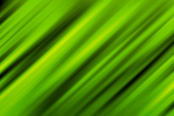 Voluminöse grüne Streifen. Blatt