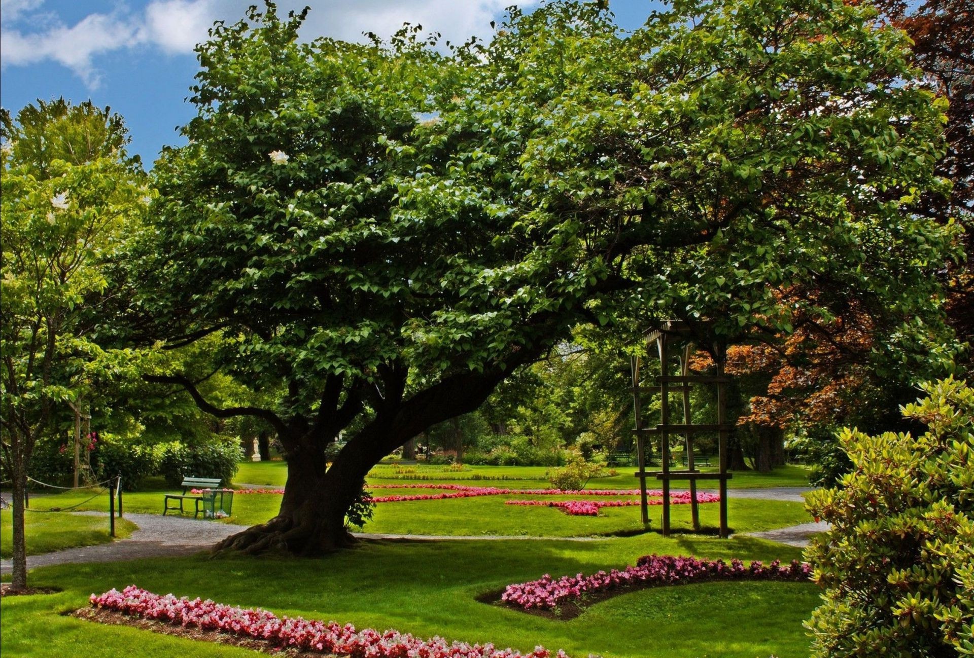 parks baum garten blatt park natur landschaft gras im freien rasen blume sommer flora holz bank saison umwelt üppig gutes wetter landschaftlich reizvoll