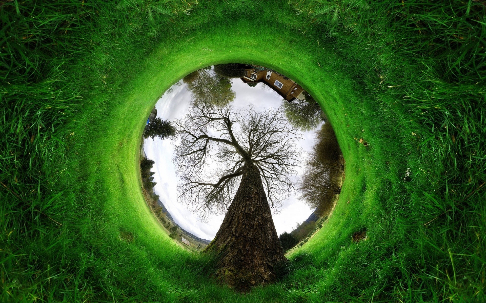 kreativ gras natur umwelt rasen landschaft kugelförmig ökologie im freien sommer blatt schauspiel feld park heuhaufen flora boden