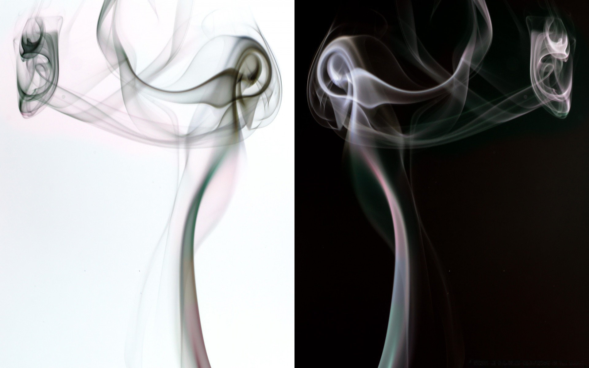 kreativ weihrauch rauch nebel dampf kurve glatt dynamisch verbrannt welle slick geruch spur geheimnisvoll sanft bewegung abstrakt flamme rauchig formen