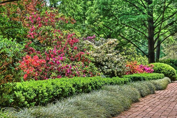 Die besten Blumen der Welt sind Schönheit