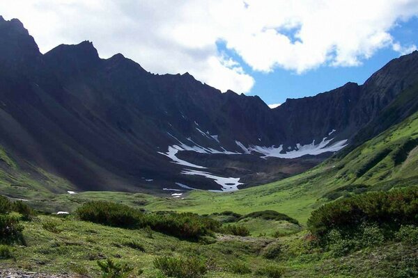 Schöne Berge und grüne Wiese
