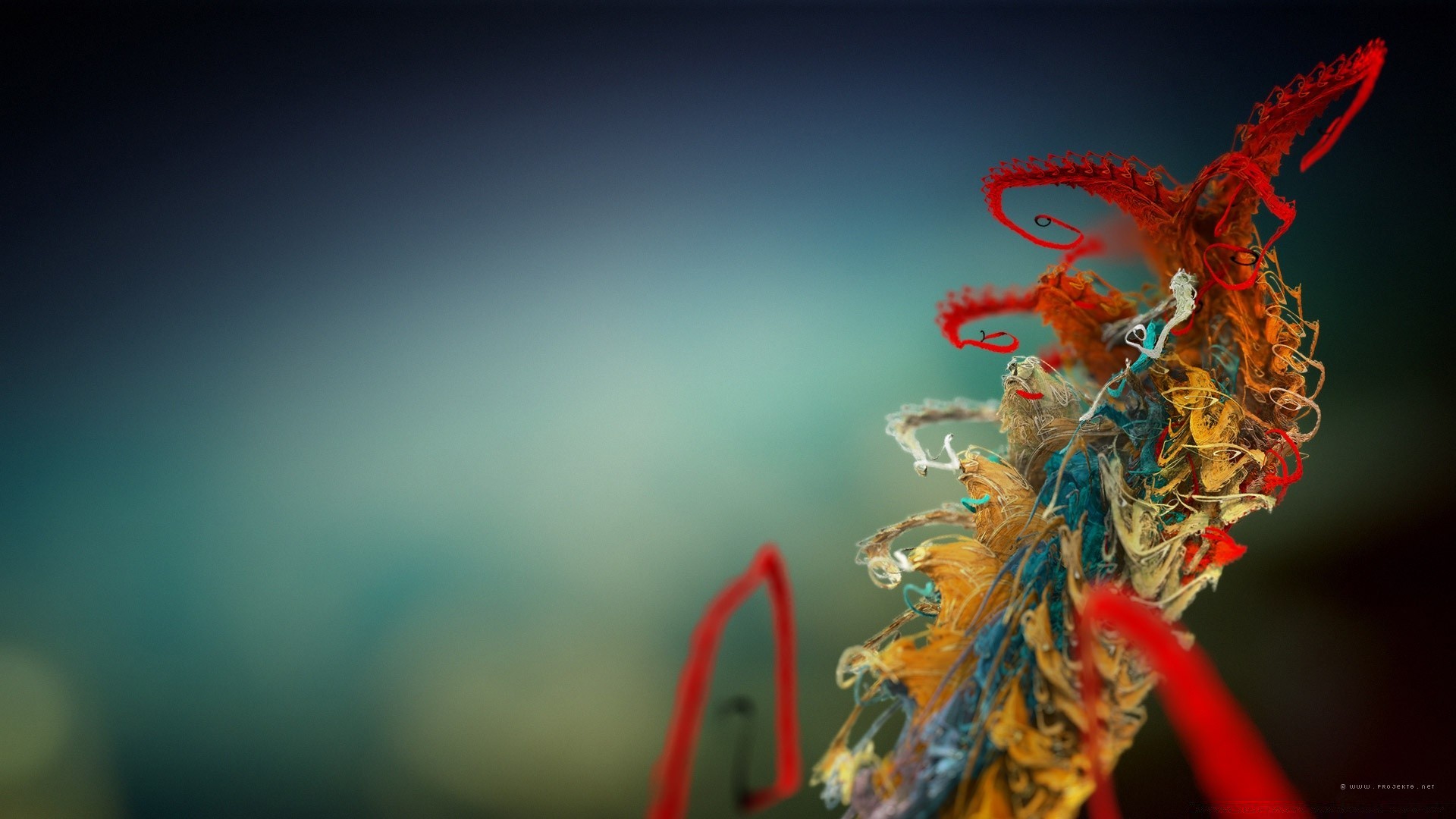 pflanzen natur blume unschärfe licht