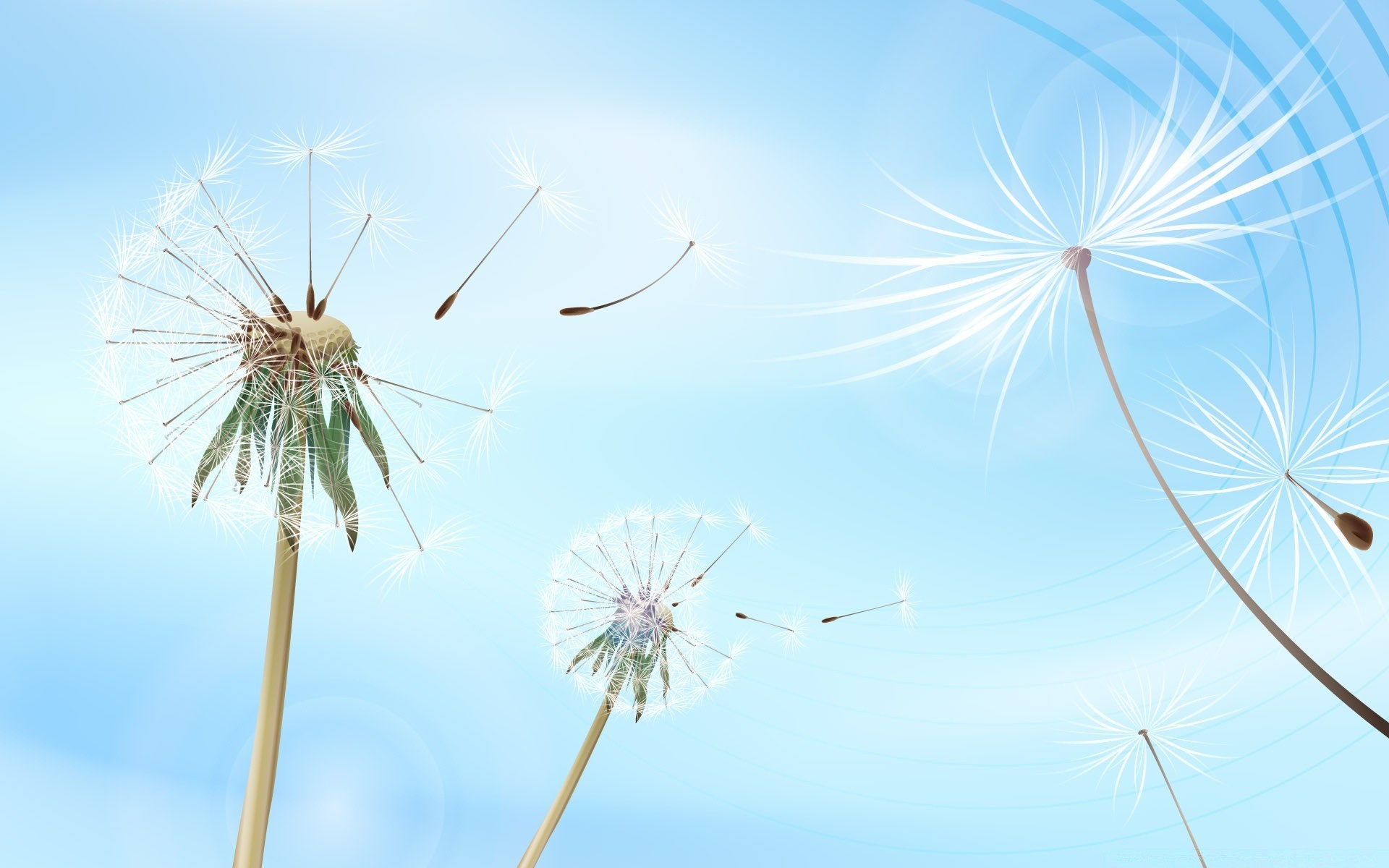 vektorgrafik löwenzahn himmel wind sommer natur