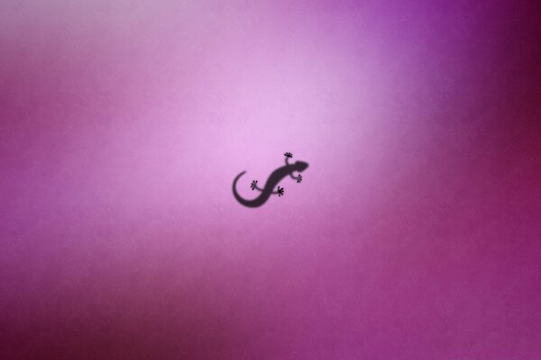 Silhouette eines Salamanders. Rosa Hintergrund. Der Schatten eines Salamanders. Grafik