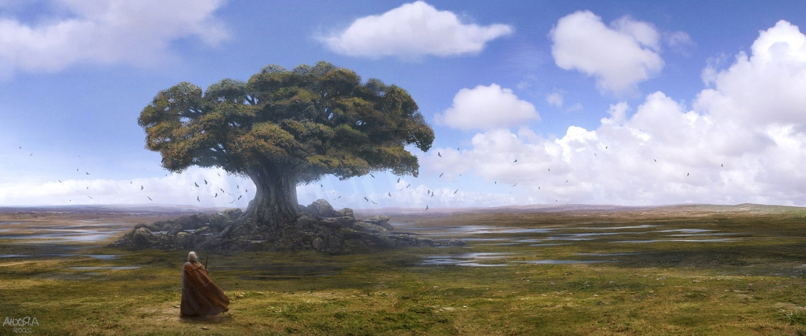 krieg landschaft baum wasser reisen im freien himmel gras natur sonnenuntergang dämmerung nebel tageslicht see