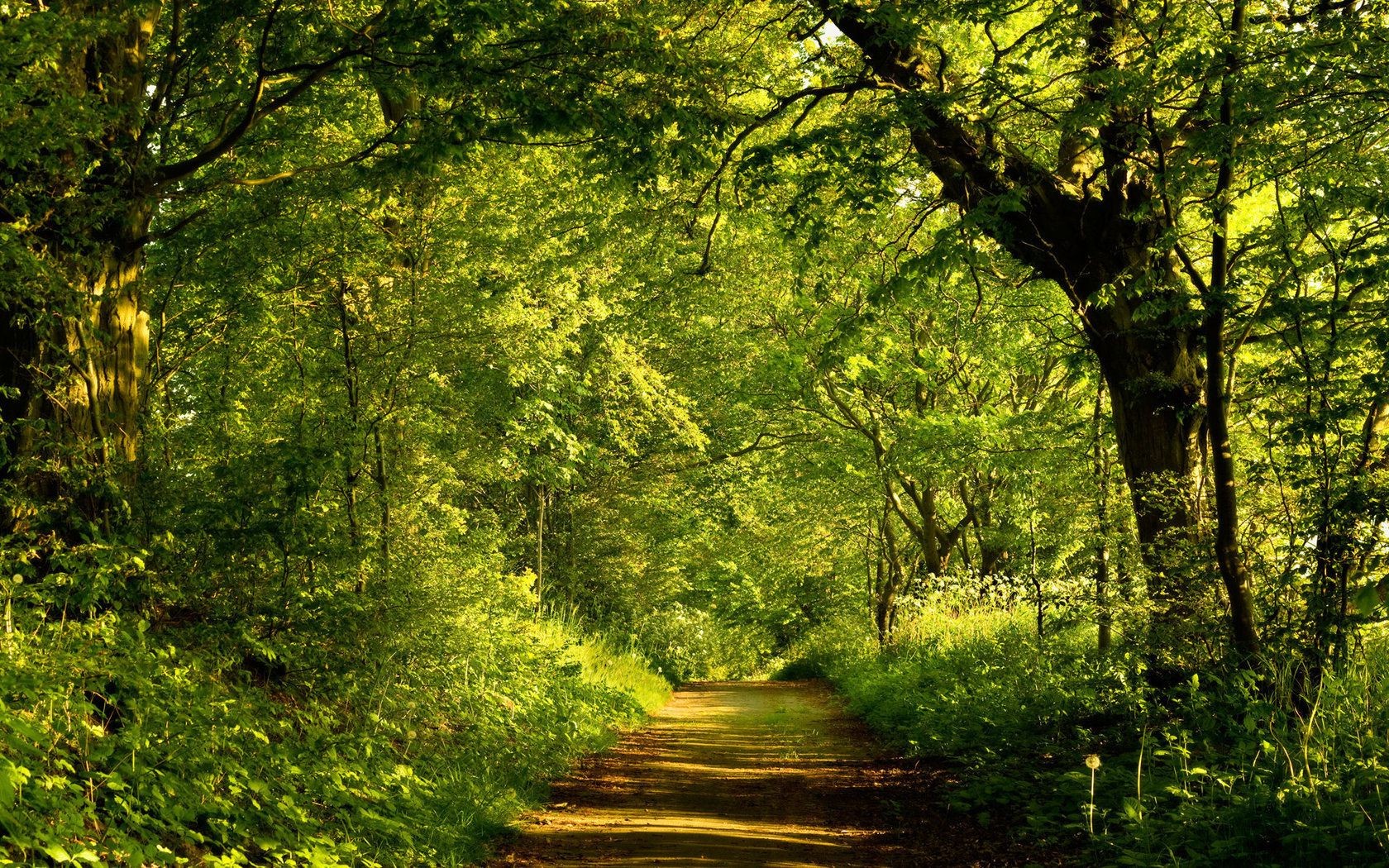 berühmte orte holz holz natur blatt landschaft park üppig dämmerung umwelt gutes wetter landschaftlich guide saison sonne im freien zweig landschaften herbst hell