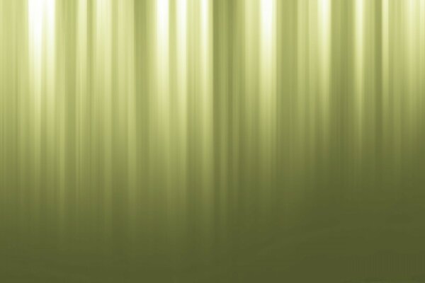 Sumpfgrüne Farbe geeignet für Vorhänge