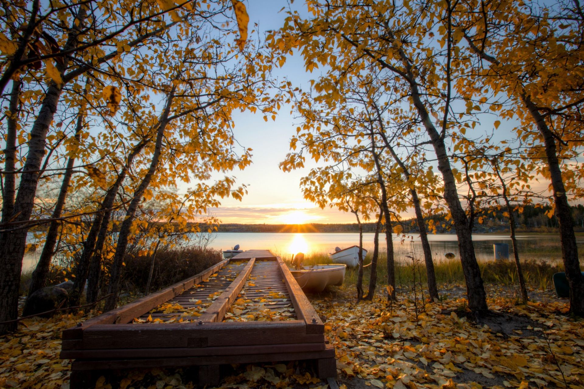 sonnenuntergang und dämmerung baum herbst holz natur blatt park landschaft im freien gutes wetter sonne bank tageslicht dämmerung landschaftlich jahreszeit licht guide