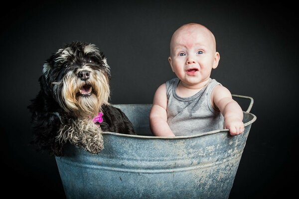 Freunde verschütte kein Wasser, Baby und Hund