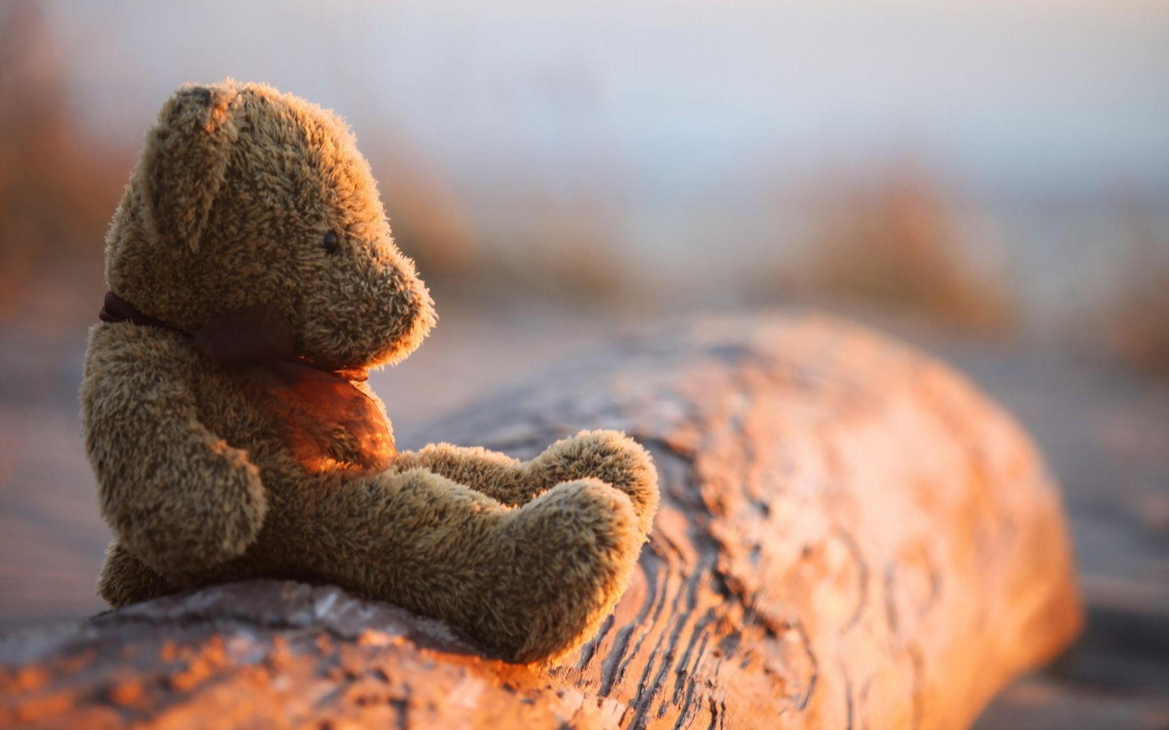 natur im freien nahrung