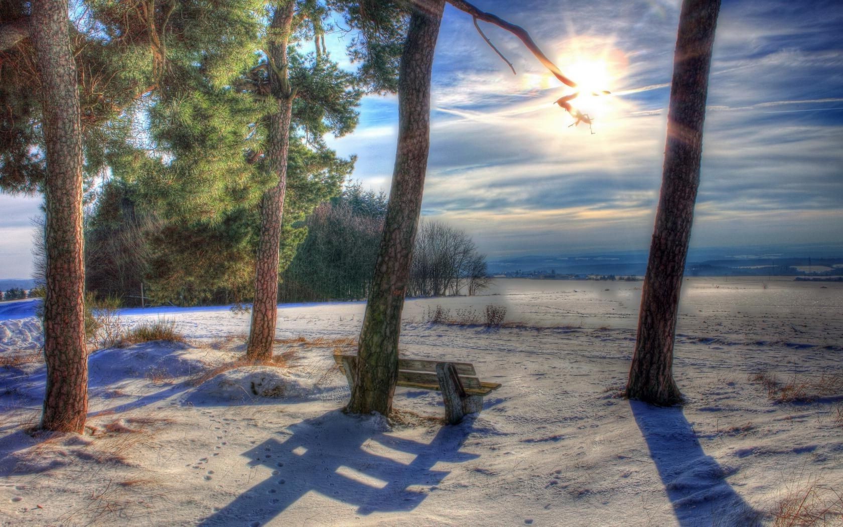 landschaft strand landschaft sonne natur himmel reisen holz wasser dämmerung gutes wetter holz im freien sommer sonnenuntergang sand ozean meer meer licht