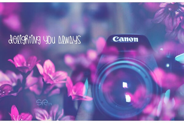 Canon-Kamerabild in Farben