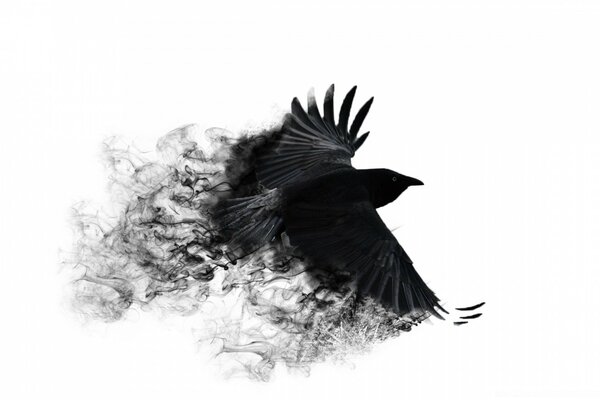 Die Federn des schwarzen Vogels lösen sich im Flug auf