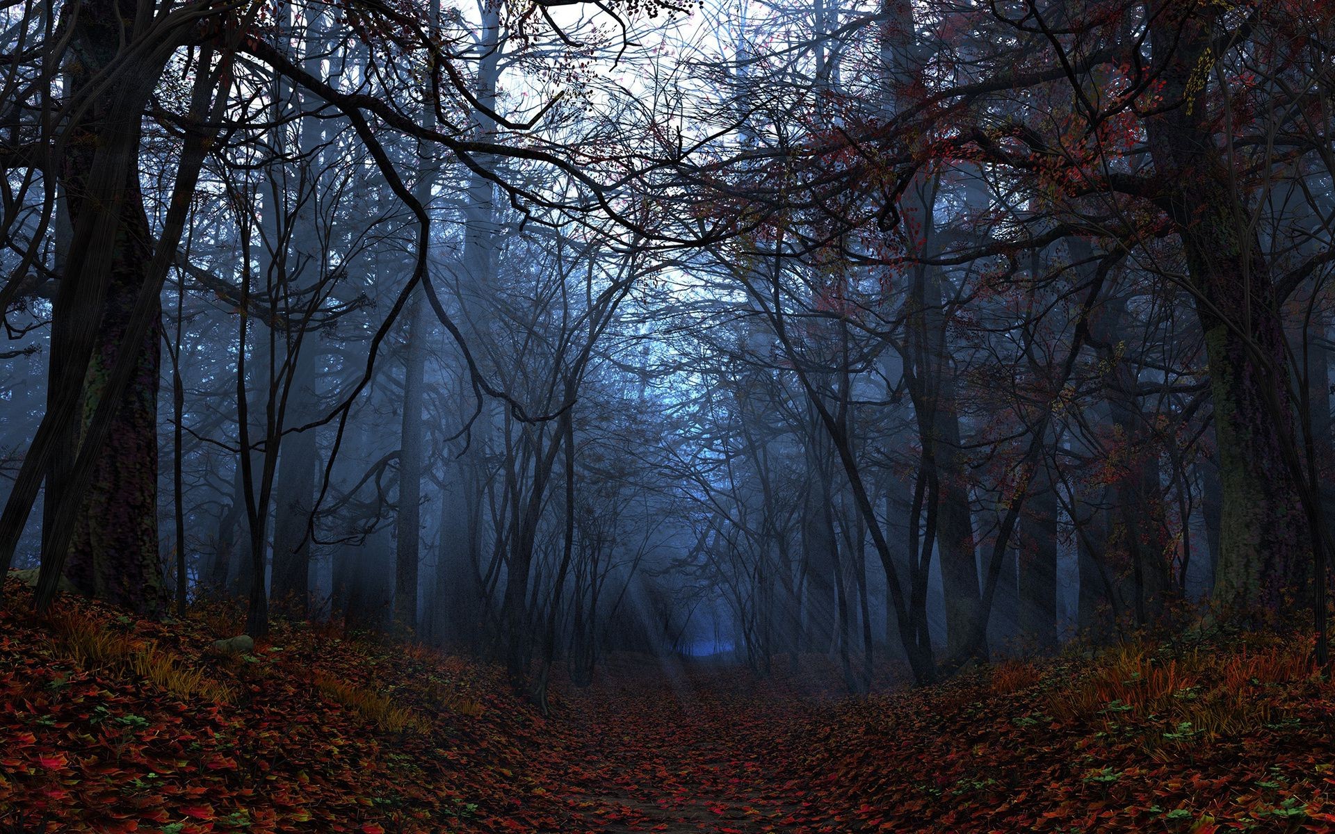 herbst baum herbst landschaft nebel holz dämmerung nebel park zweig blatt licht hintergrundbeleuchtung wetter natur landschaftlich winter umwelt gutes wetter jahreszeit