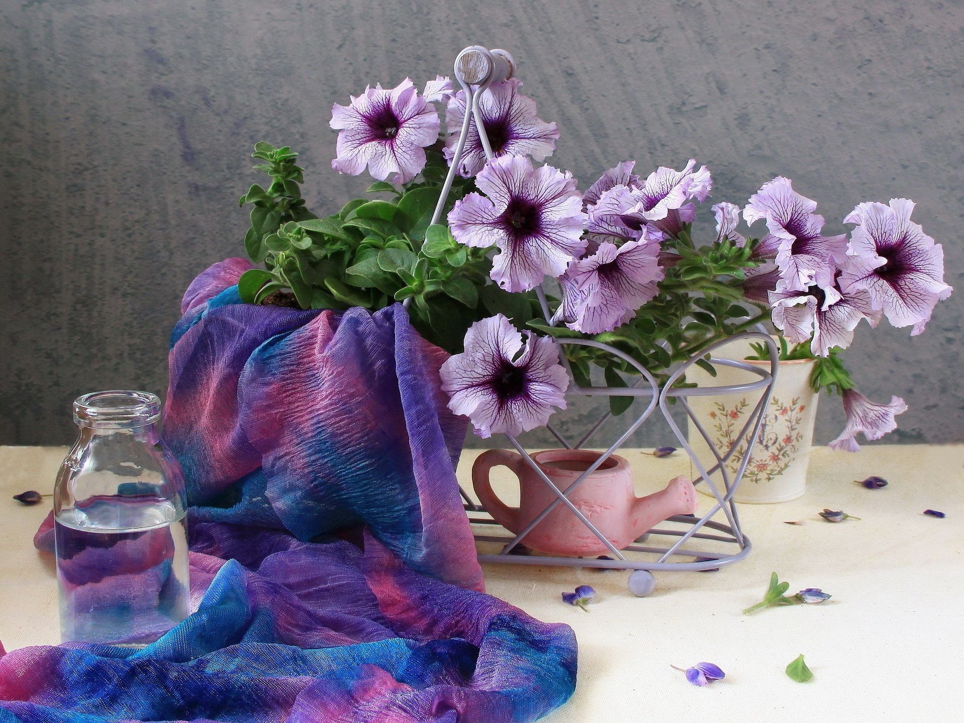 blumen blume flora dekoration farbe stillleben vase blatt blumen