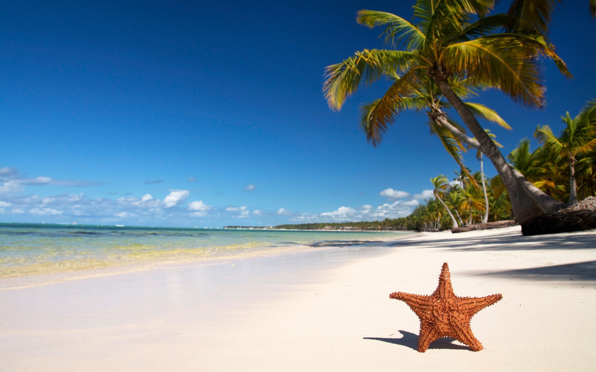 meer und ozean strand sand tropisch meer reisen wasser sommer ozean urlaub idylle insel meer sonne entspannung landschaft paradies exotisch brandung resort