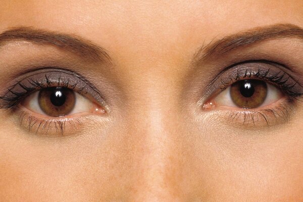 Augen zu Augen, offener Blick