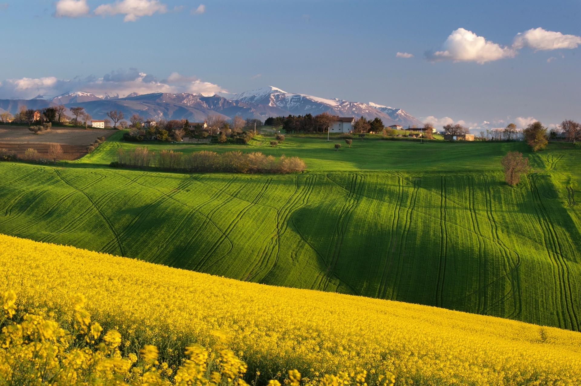 felder wiesen und täler landschaft feld landwirtschaft des ländlichen natur landschaft himmel bauernhof sommer land gras baum ernte ackerland sonne im freien landschaftlich