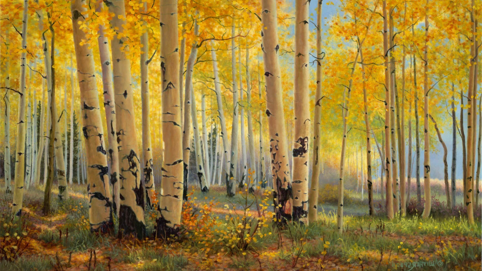 herbst herbst blatt holz natur holz landschaft saison park dämmerung gutes wetter filiale hell landschaft szene gold üppig landschaft im freien ländlichen