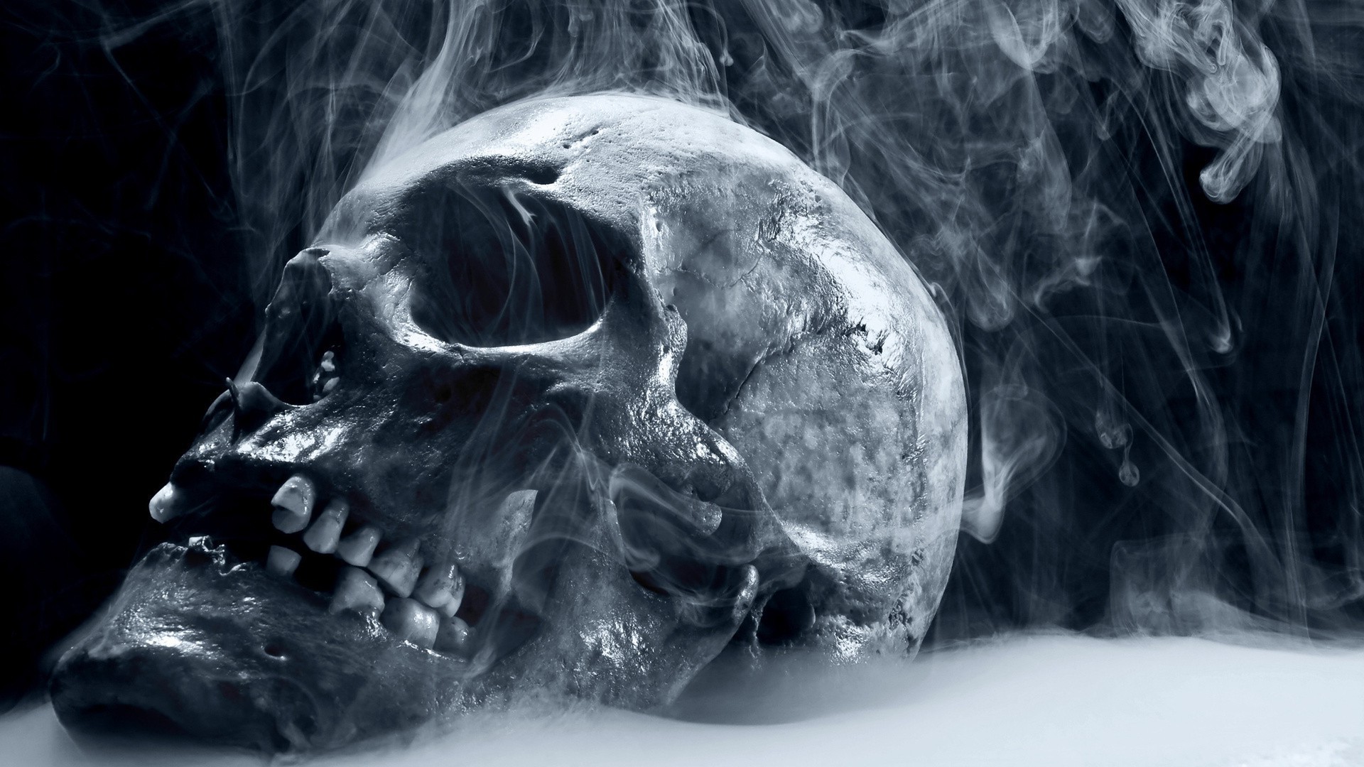 gefahr kunst halloween schädel horror