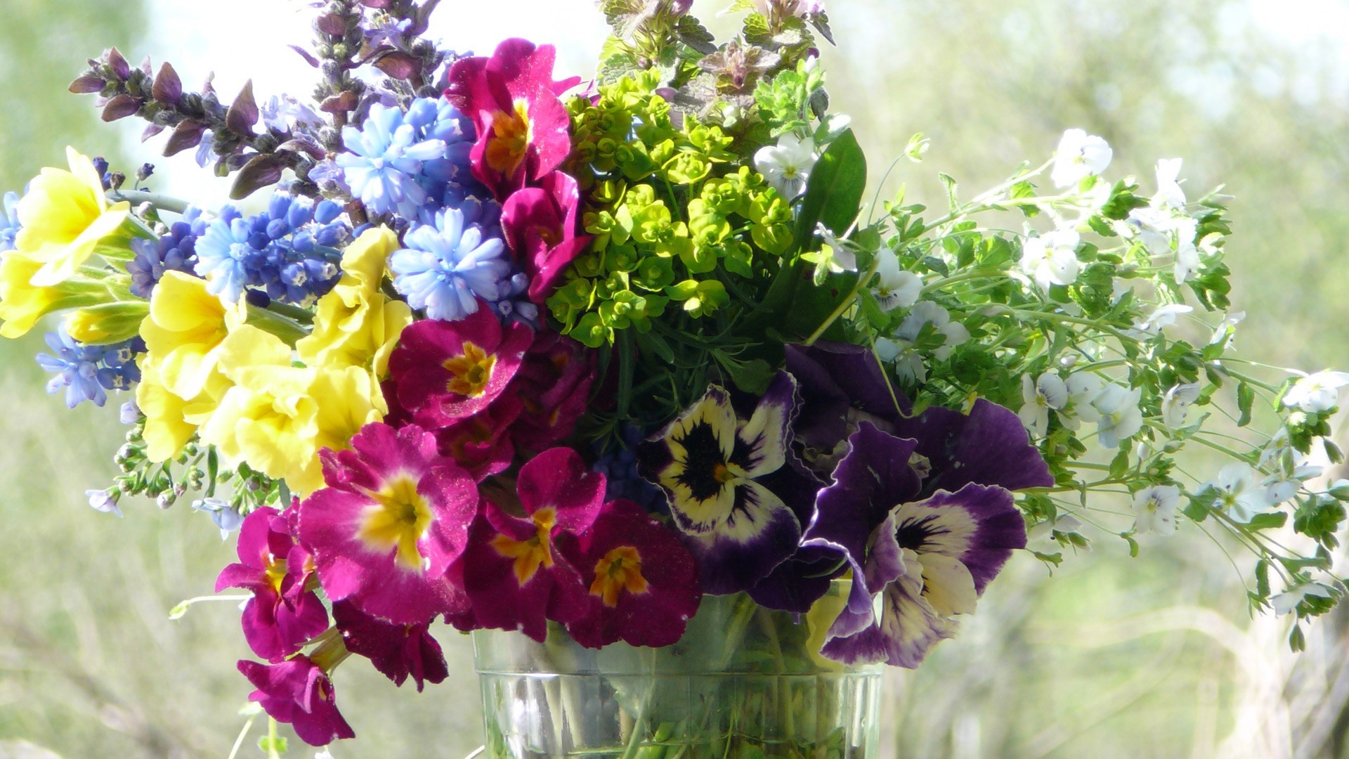 blumenstrauß flora natur blume garten blatt floral sommer blüte wachstum blütenblatt violet farbe saison hell blumenstrauß feld schließen dekoration botanisch