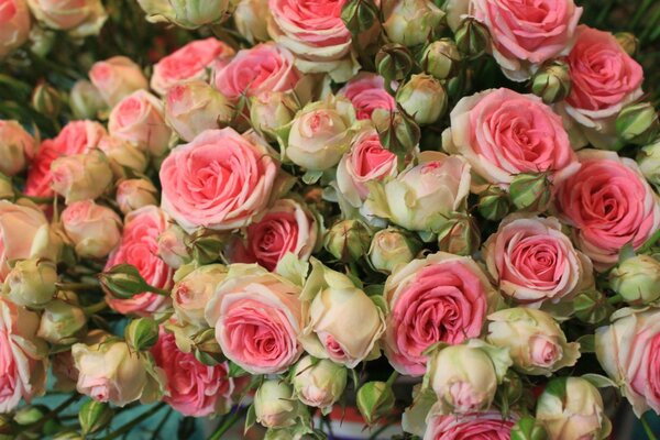 Blumenstrauß schöne Rose Blumenreihe