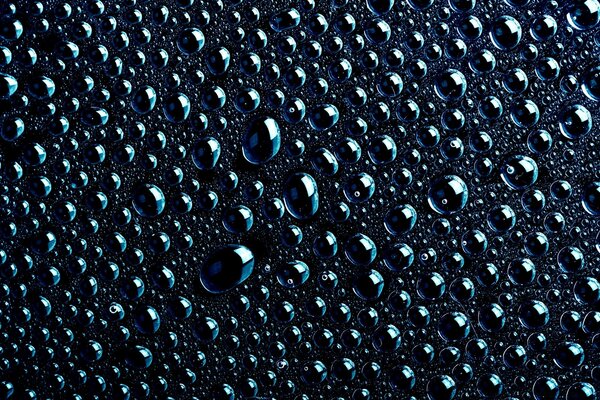 Tautropfen nach Regen