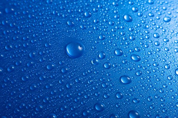 Tautropfen auf blauem Hintergrund