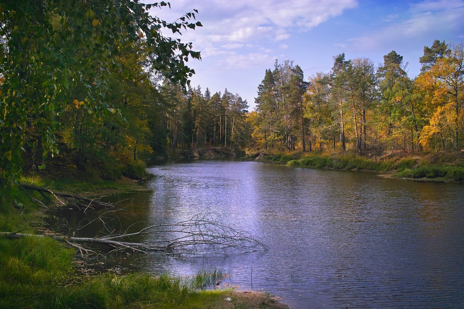 see wasser baum herbst fluss landschaft natur holz reflexion im freien blatt landschaftlich himmel park schwimmbad tageslicht gelassenheit reisen