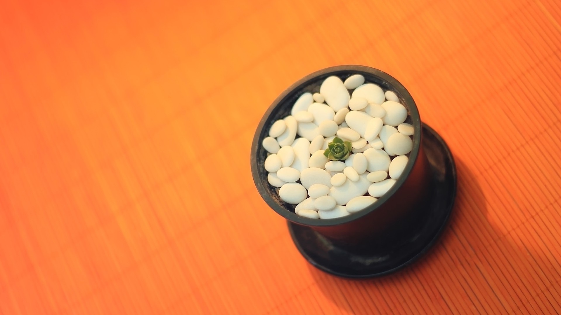 lebensmittel medizin desktop gesundheit schüssel holz stillleben gesund