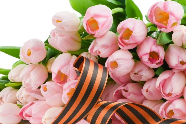 Blumenstrauß aus rosa Tulpen mit St.-Georg-Band