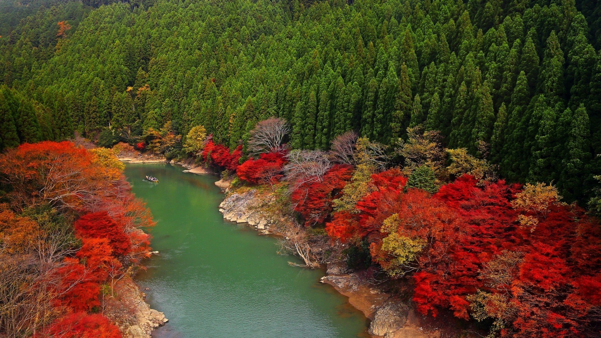flüsse teiche und bäche teiche und bäche wasser fluss holz im freien natur reisen landschaft see holz blatt landschaftlich herbst tageslicht fluss park