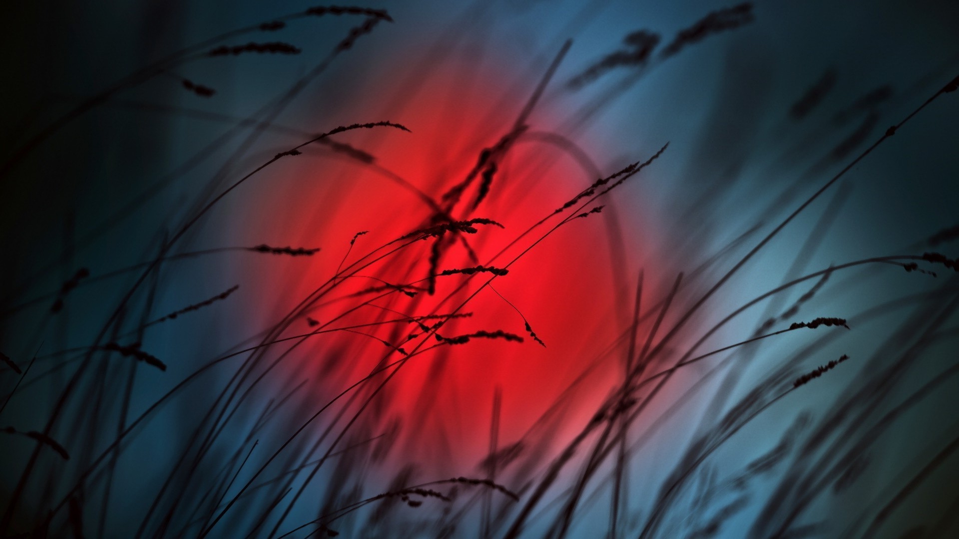 helle farben natur sonne kunst abstrakt dämmerung