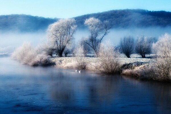 Winterlandschaft: Teiche, Bäche und Bäume