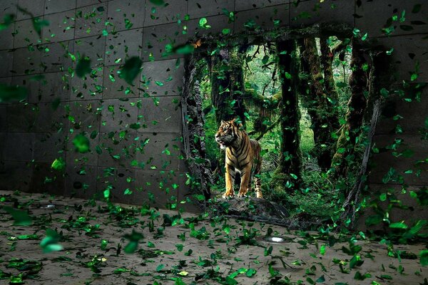 Ein Tiger im Grünen, der um ihn herum fliegt