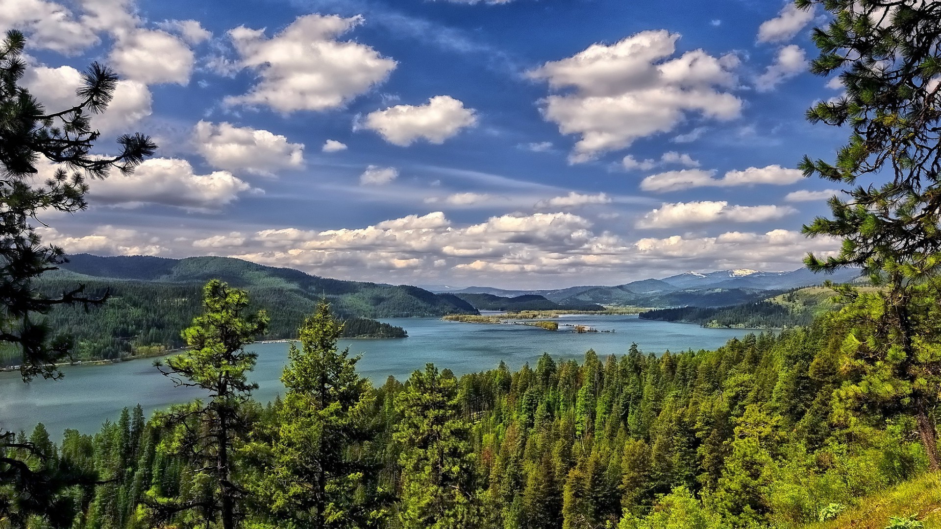 flüsse teiche und bäche teiche und bäche wasser natur im freien landschaft reisen himmel baum see holz sommer landschaftlich tageslicht berge nadelbäche gutes wetter