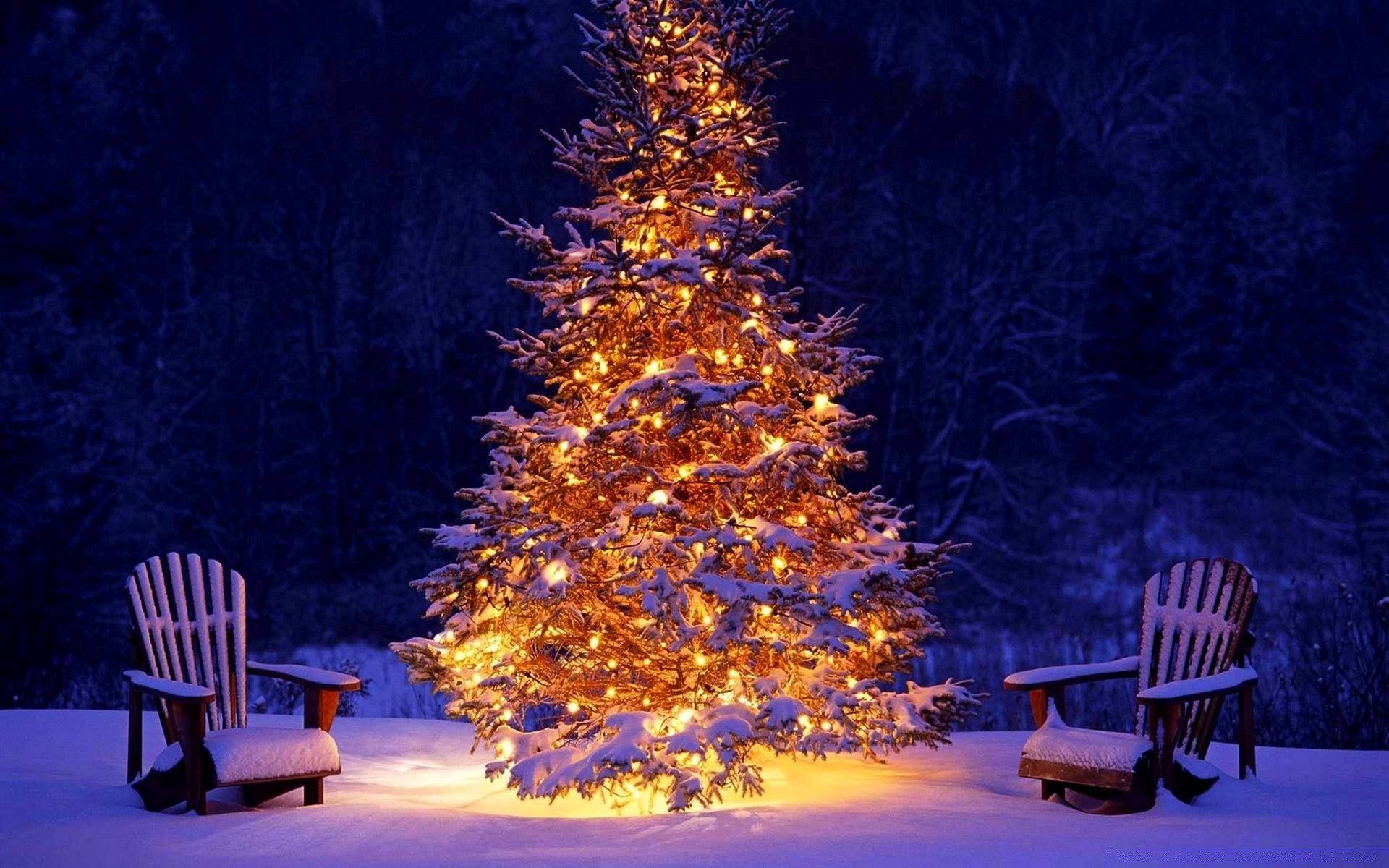 weihnachten stuhl bank ort holz im freien winter baum am abend schnee reisen entspannung