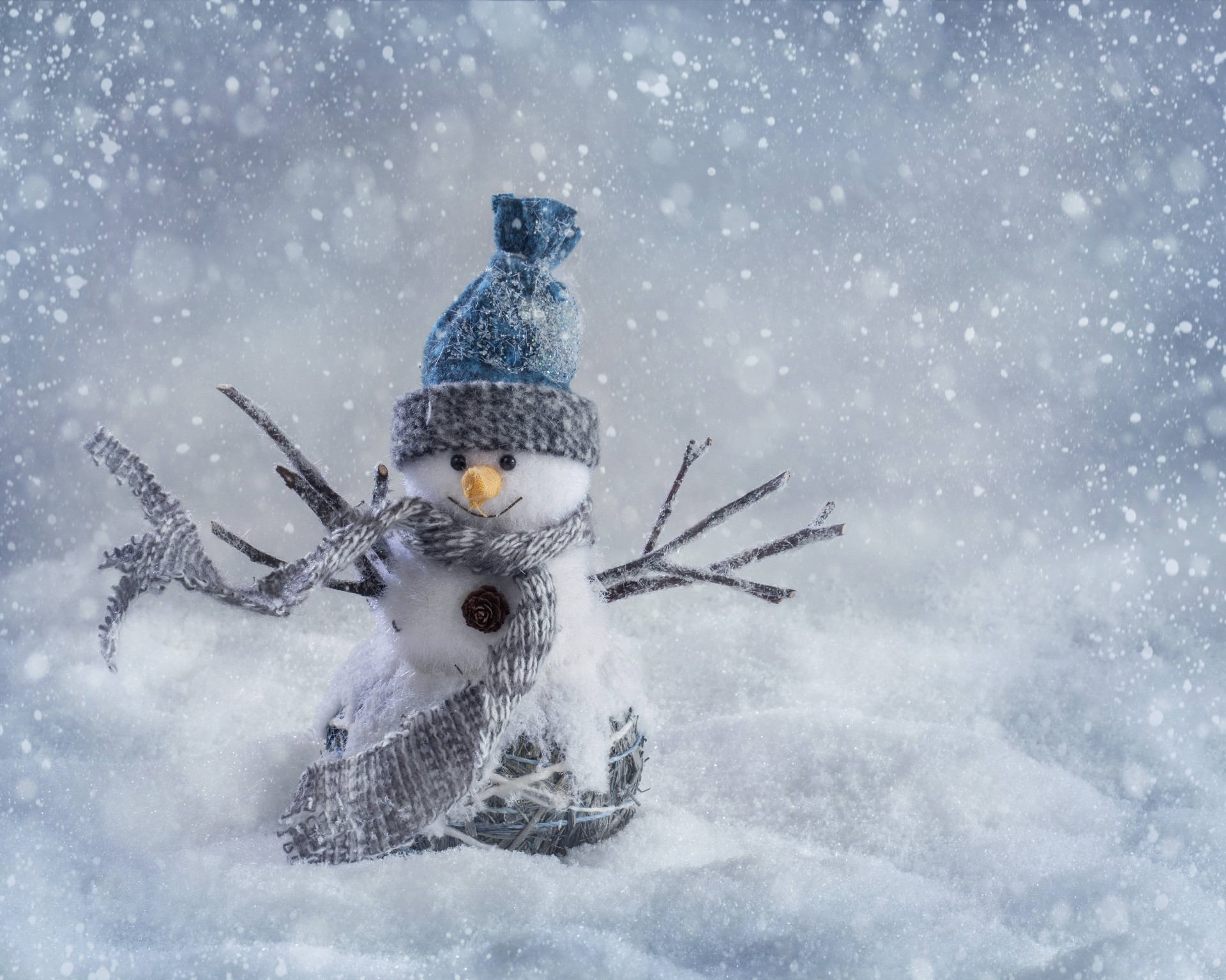 neujahr winter schnee kalt frost natur eis gefroren weihnachten schneeflocke schnee-weiß im freien himmel frostig jahreszeit wetter vogel vergnügen