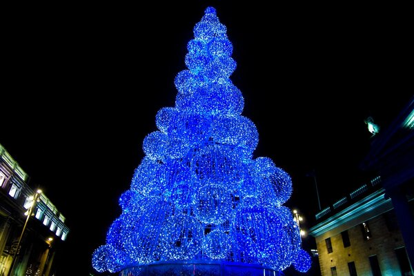 Ein Straßenbaum aus leuchtenden blauen Kugeln
