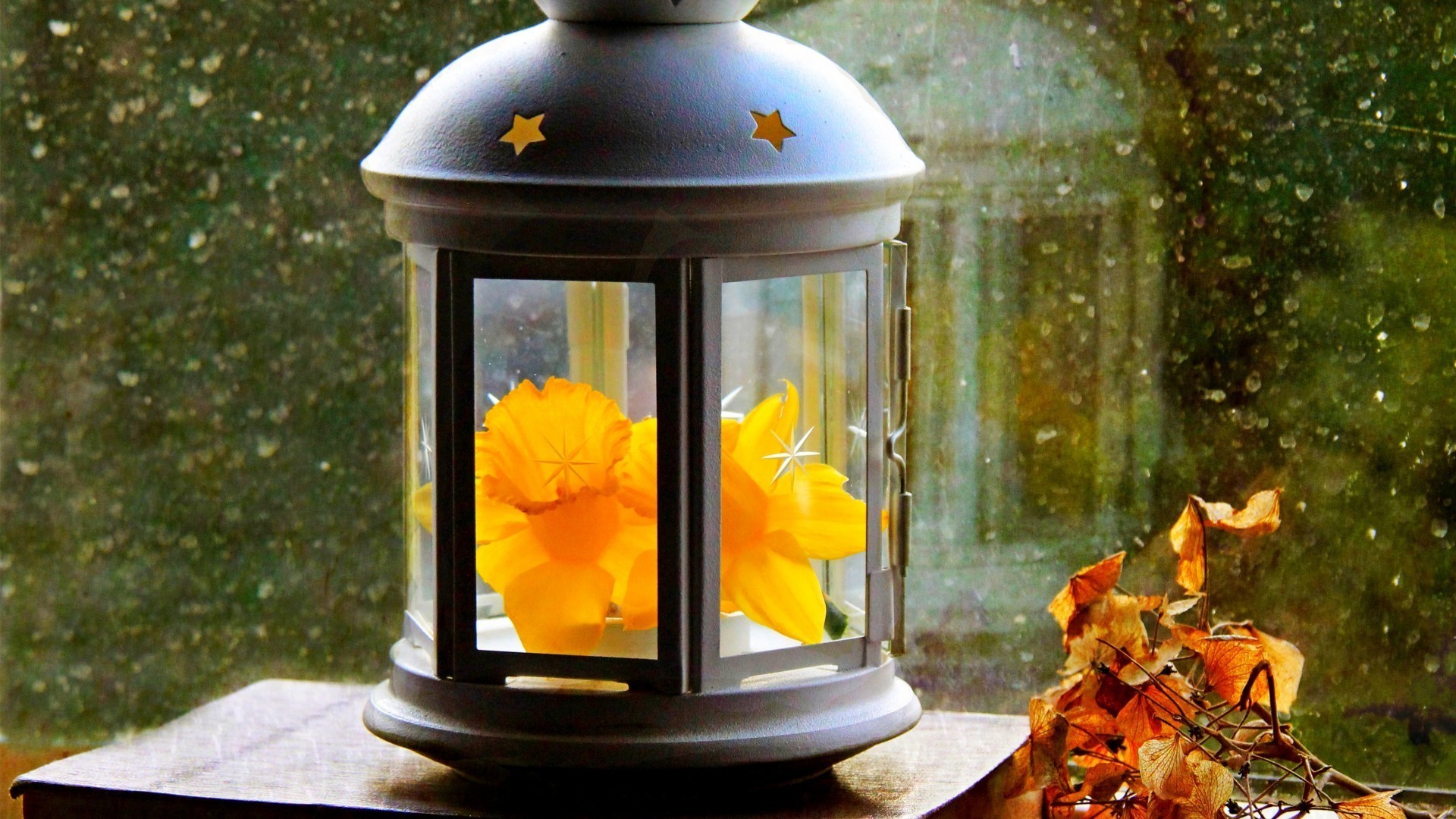 blätter blume holz laterne tabelle dekoration licht tageslicht