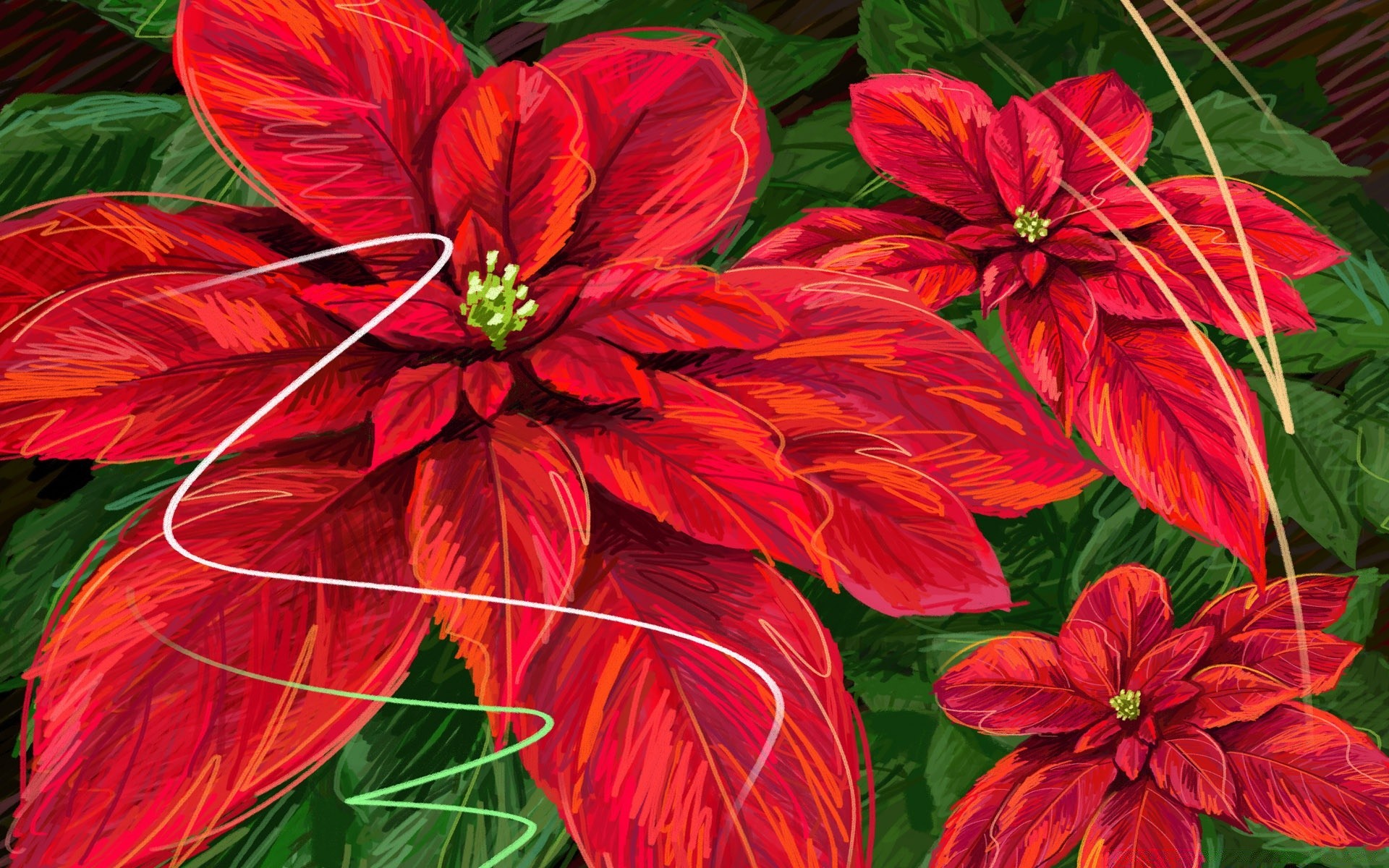 weihnachten natur blume flora blatt sommer garten blumen schön farbe blütenblatt dekoration blühen tropisch hell botanisch jahreszeit wachstum