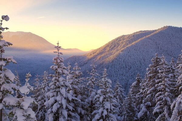 Verschneite Winterwanderung in den Bergen