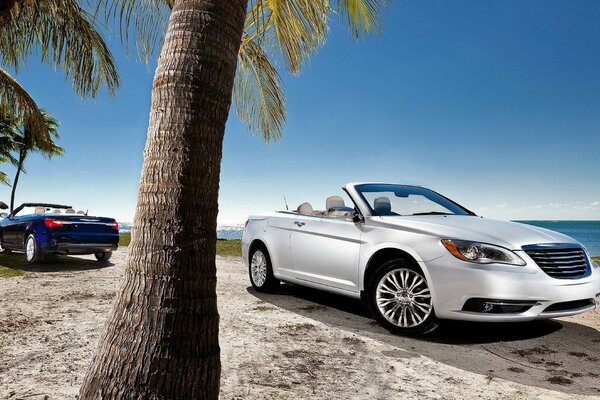 Das Auto steht am Strand unter einer Palme